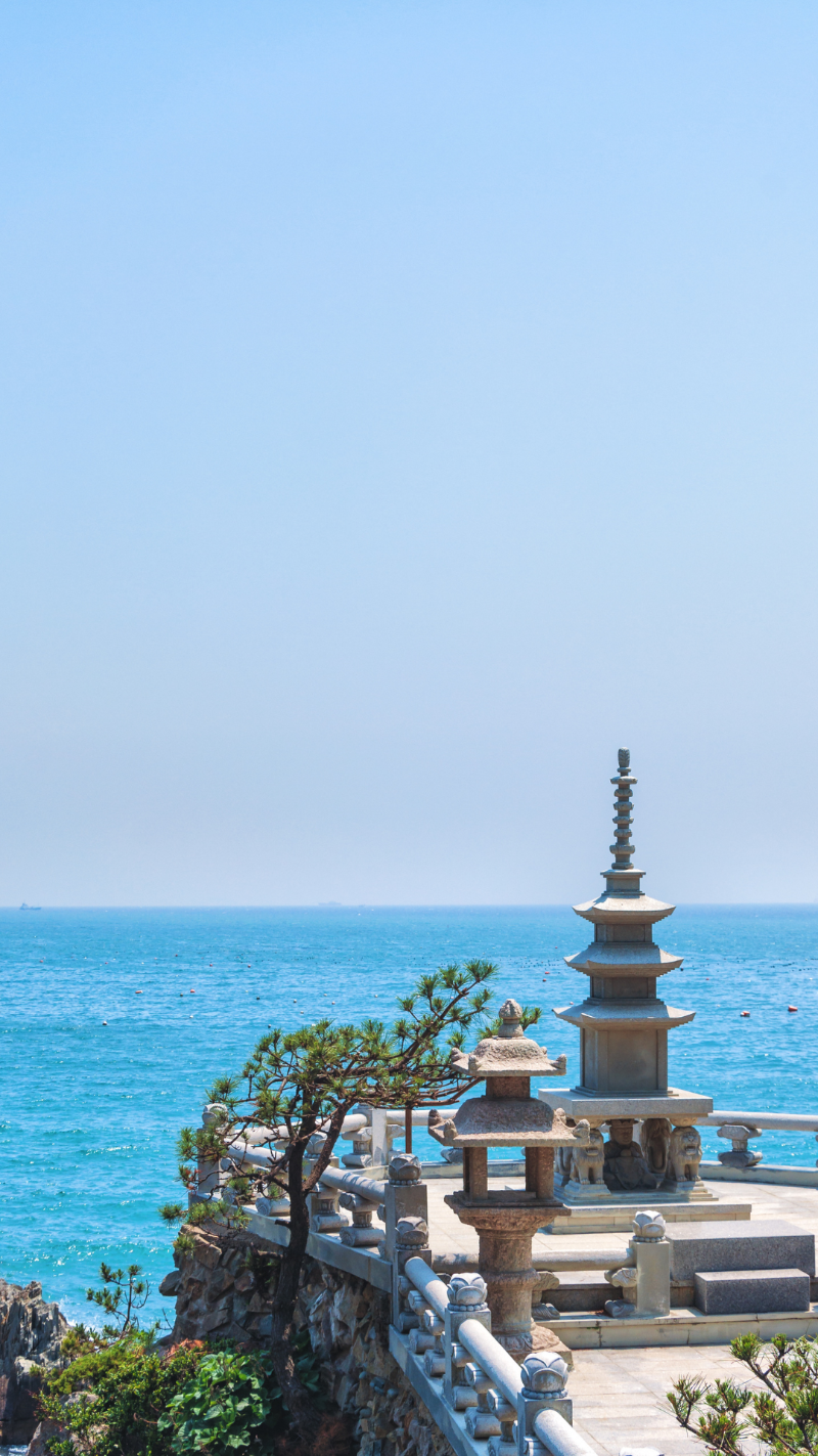 사찰식 저당 맛간장 사진 (5).png